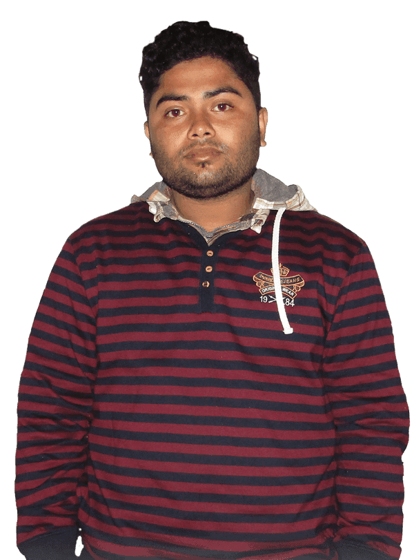 Freelance Website Designer